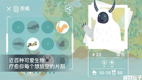 荒漠乐园