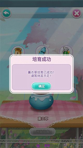 鲜花小镇(图4) 鲜花小镇(图4)