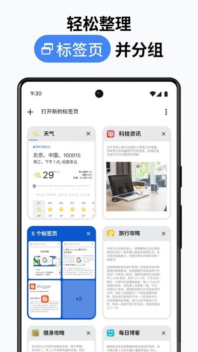 谷歌浏览器