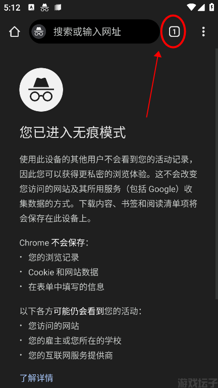 谷歌浏览器(图3) 谷歌浏览器(图3)