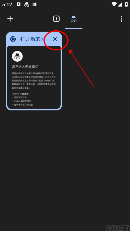 谷歌浏览器(图4) 谷歌浏览器(图4)