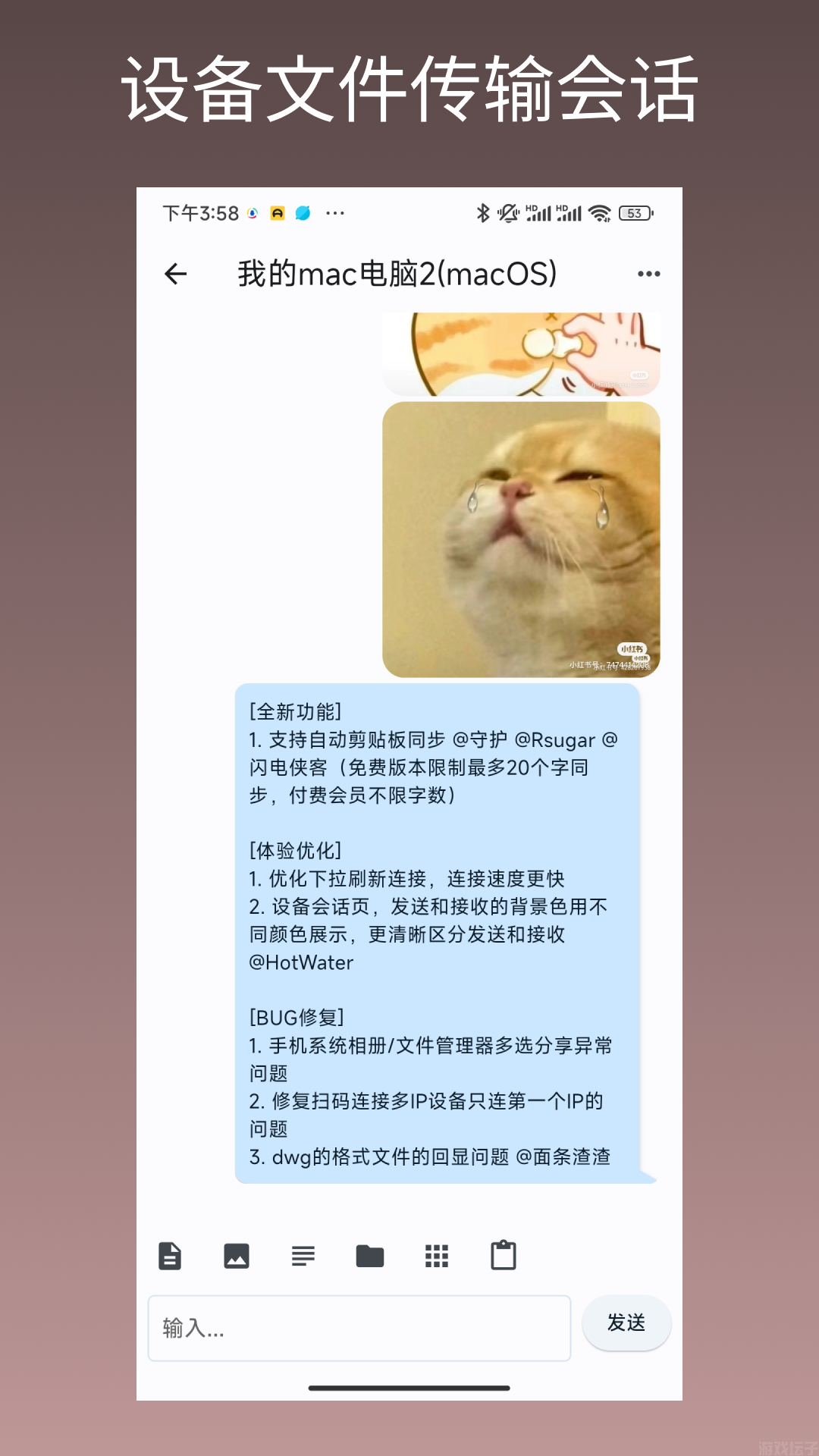 闪电藤(图1) 闪电藤(图2)