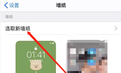 intolive(图5) intolive(图5)