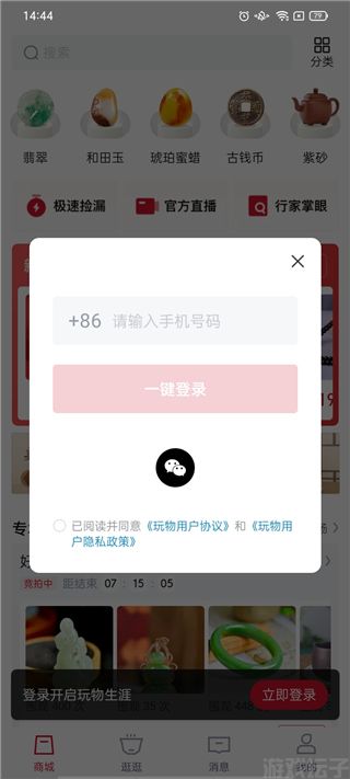 玩物得志(图5) 玩物得志(图5)