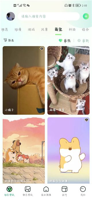 飞火动态壁纸(图3) 飞火动态壁纸(图3)