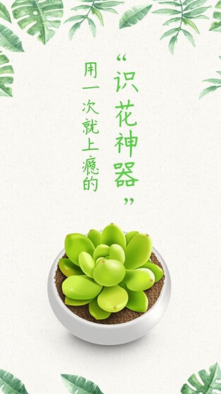 形色