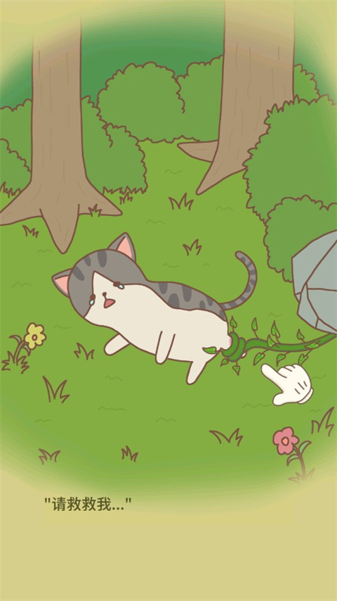 猫咪餐厅