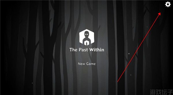 The Past Within Lite(图5)